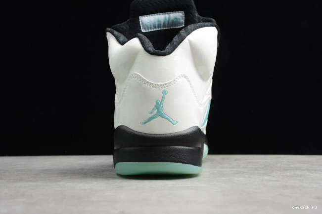 Chep Onekick Air Green 5 Jordan CN2932-100 Island 0716
